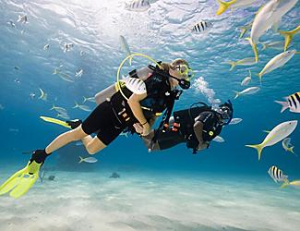 SCUBA CERTIFICATION